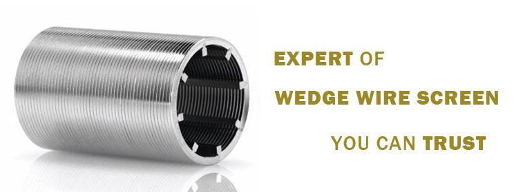 wedge wire strainer